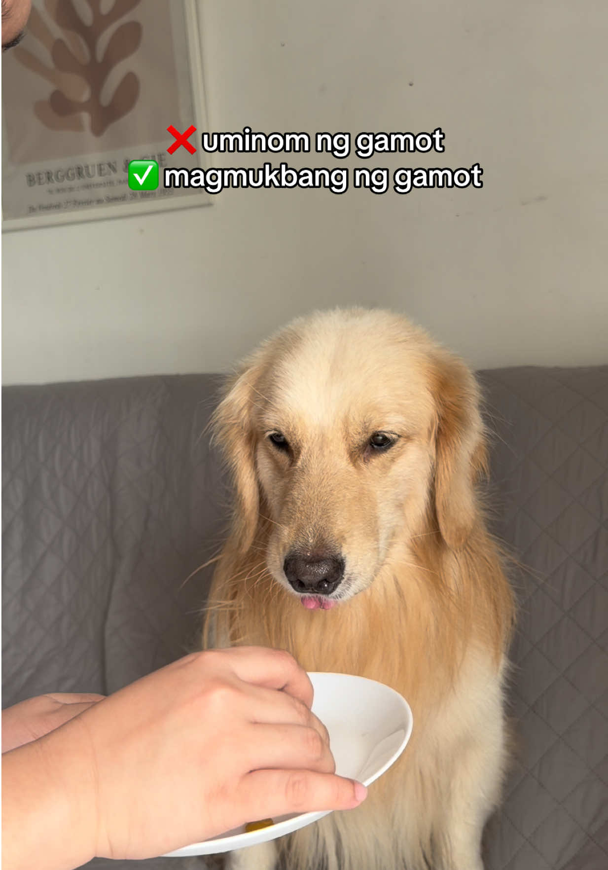 @cammydudels