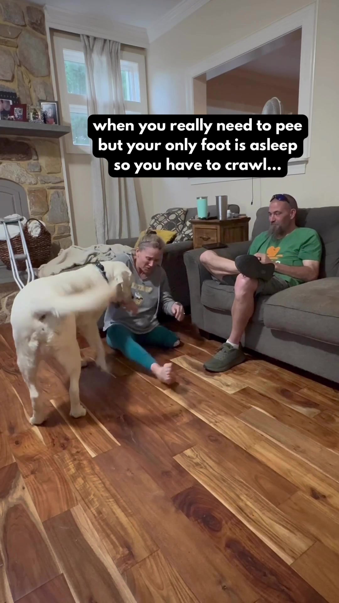 @pawsandamptics