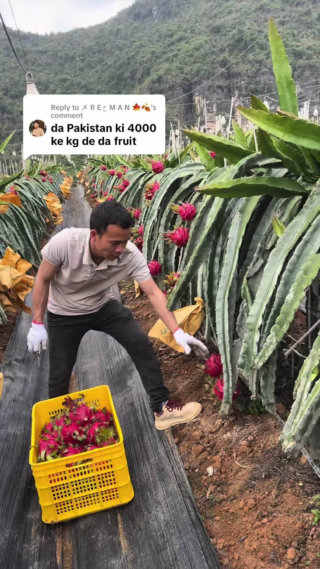 @Dr Ali in china🇨🇳