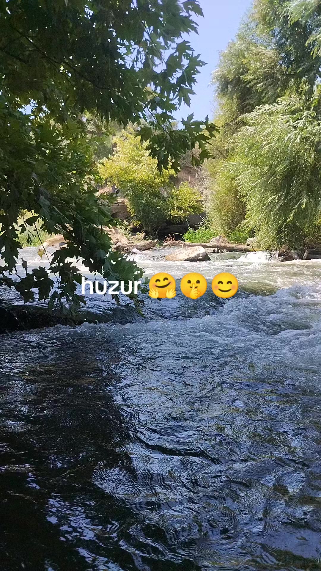@Gürbüz Coşkun