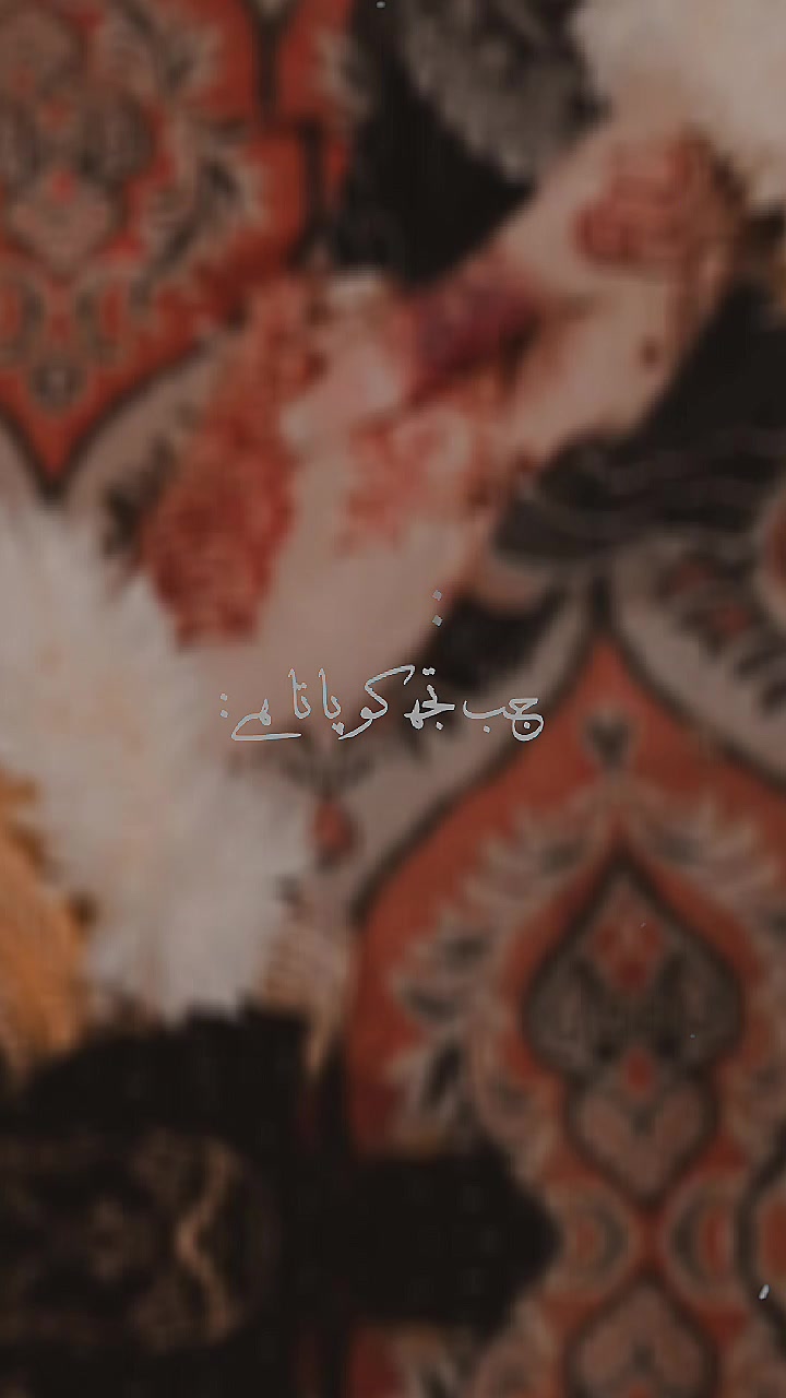 @❤️𝐙𝐢𝐝𝐝𝐢𝐢 𝐐𝐮𝐞𝐞𝐧❤️