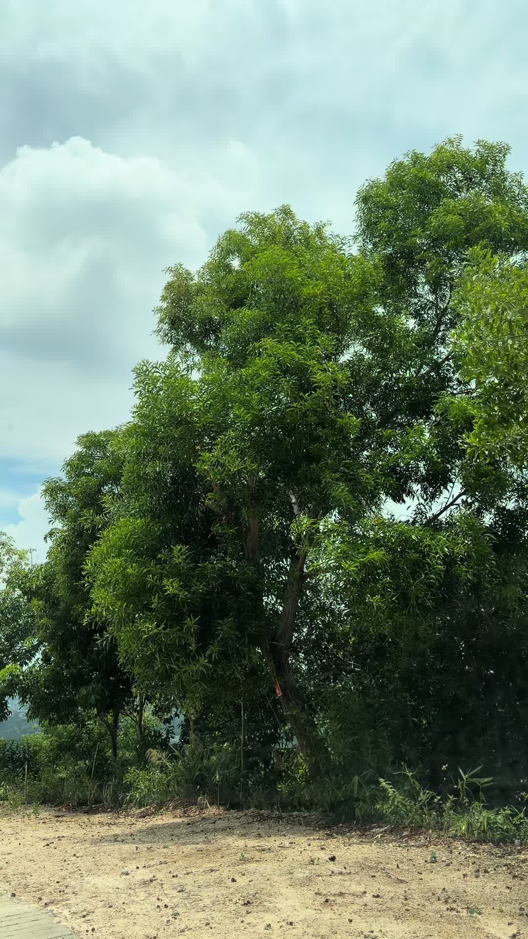 @Vjaykumarr Vjaykumarr