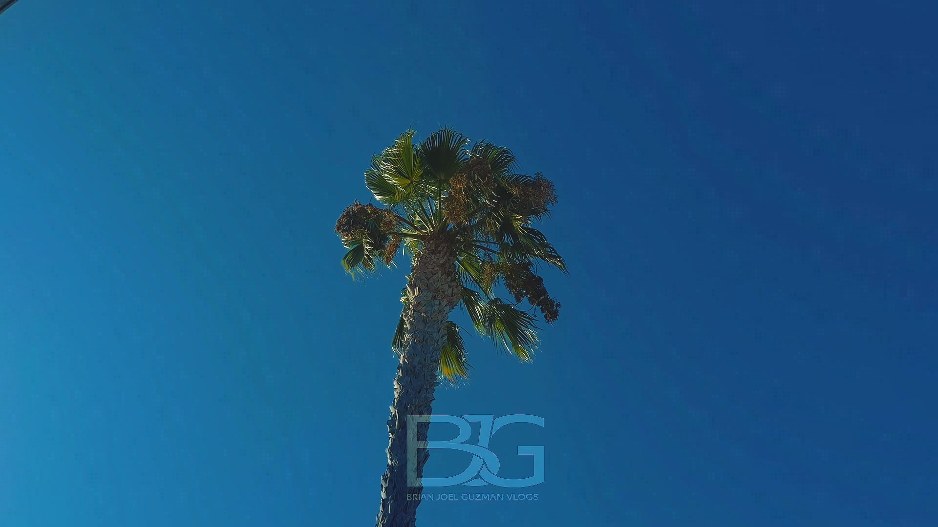 @BJG vlogs.