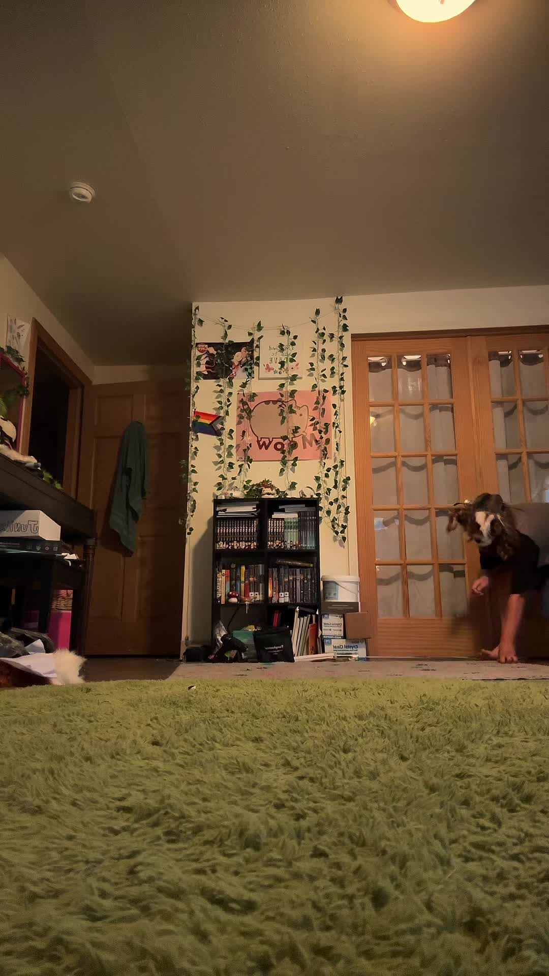@juniix3