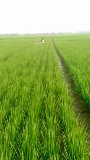 @babah zikri