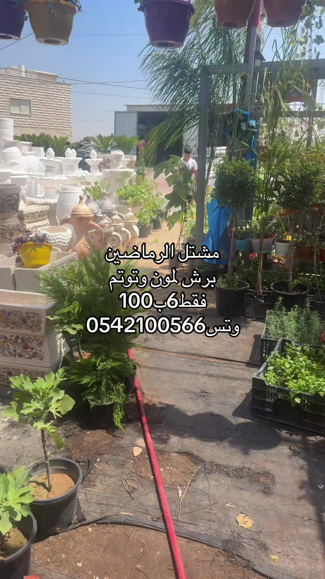 @مشتل الرماضين وتس0542100566