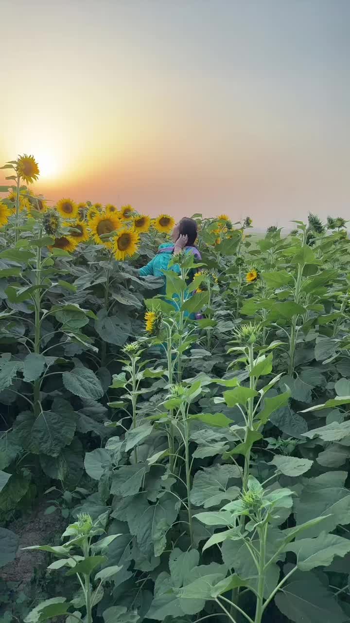 @ℕ𝕆ℕ𝕀 𝕄𝕌ℍ𝔸ℝ ❀