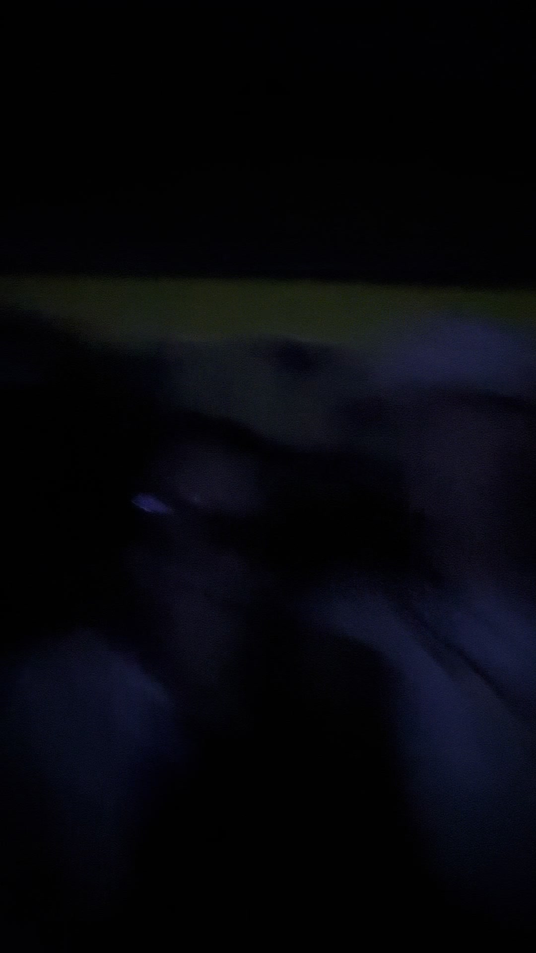 @car