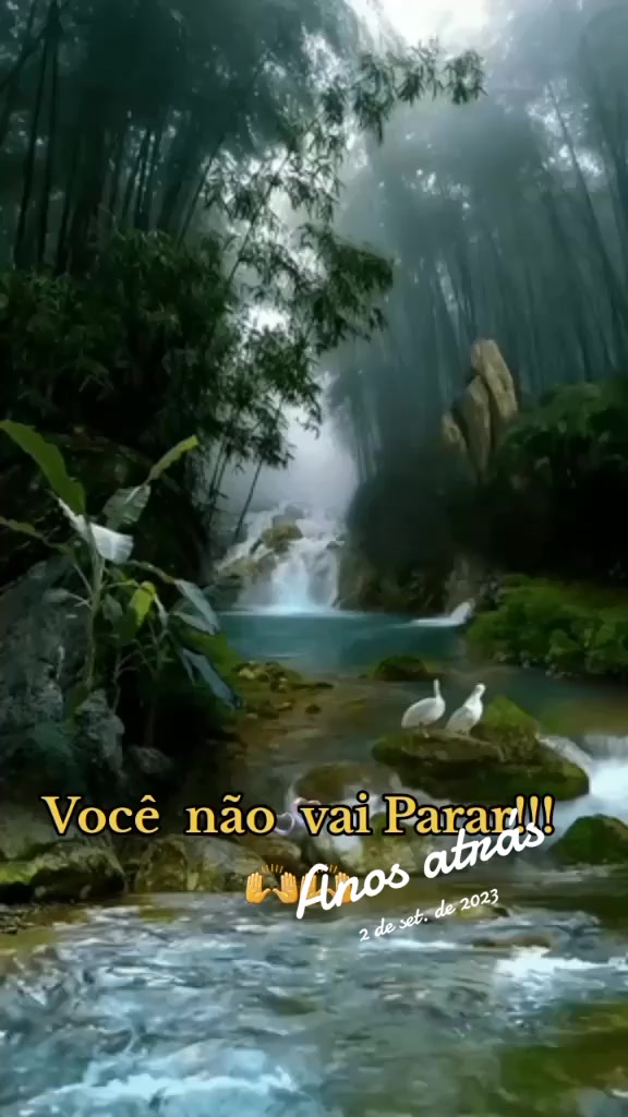 @rosileneoliveira546