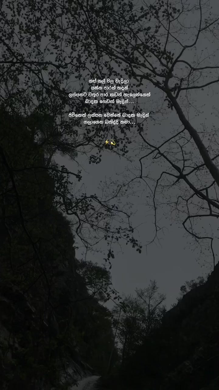 @𝙎𝙝𝙚𝙣 ❕