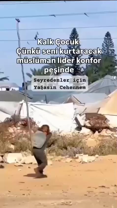 @kingferhat41