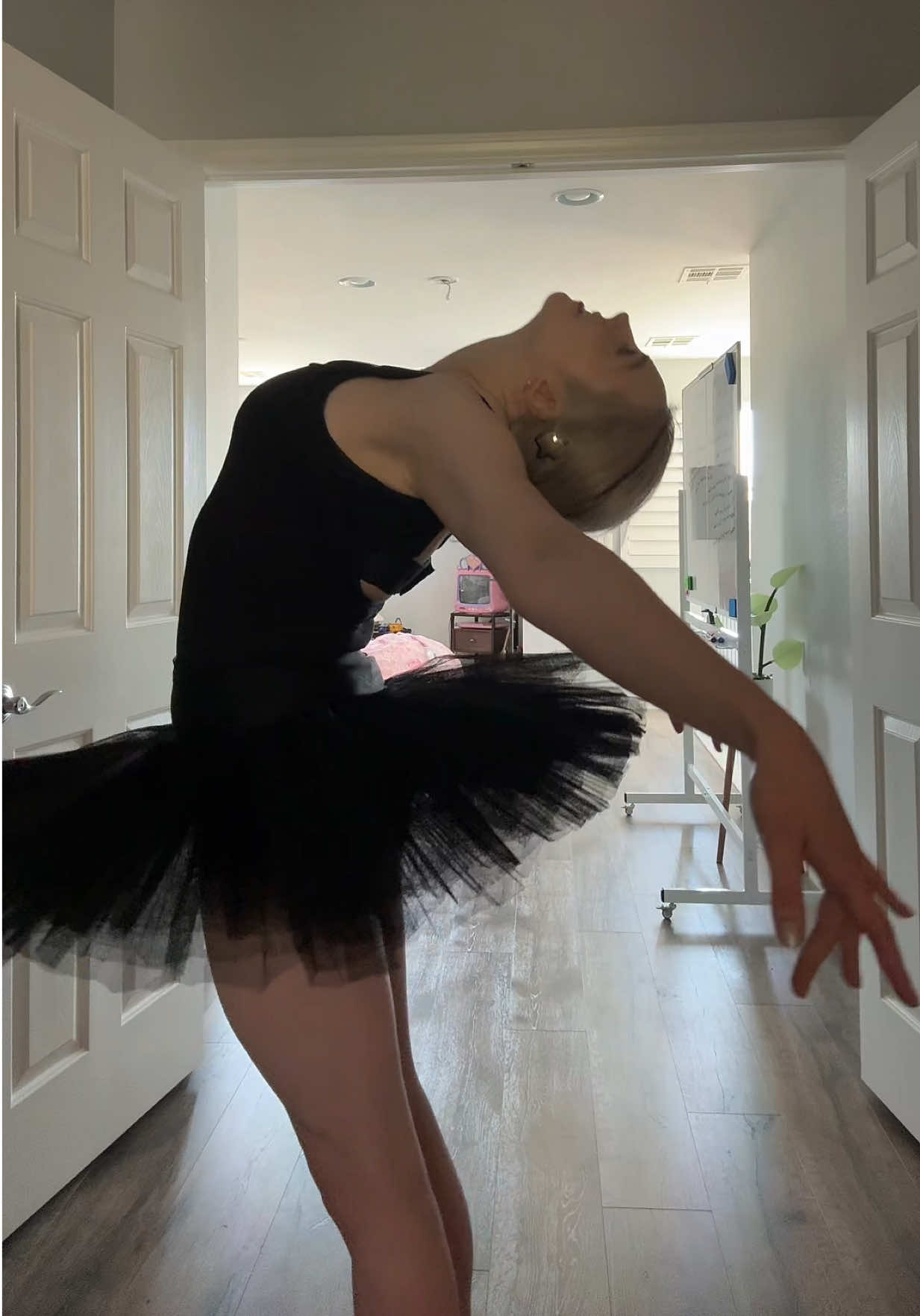 @saharareed