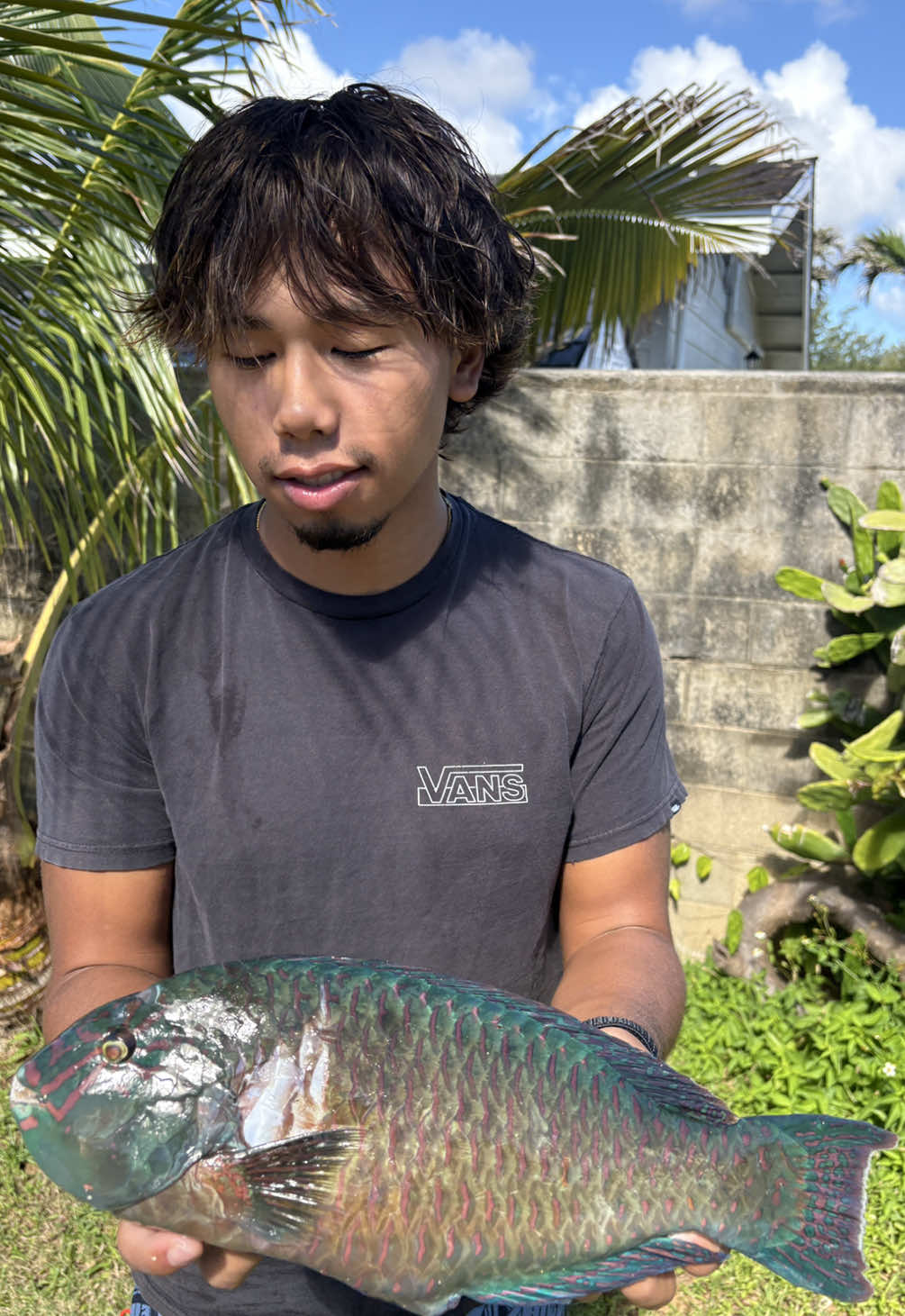 @fishmason