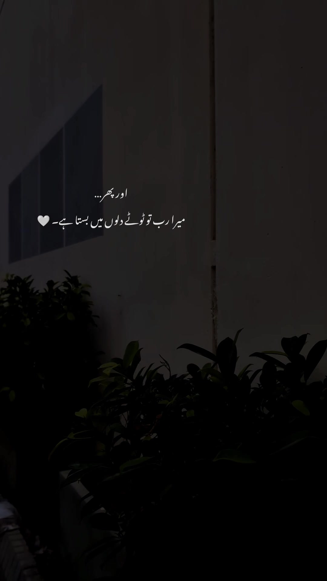@𝙢𝙤𝙤𝙣𝙡𝙞𝙩.𝙖𝙛𝙨𝙖𝙖𝙣𝙚