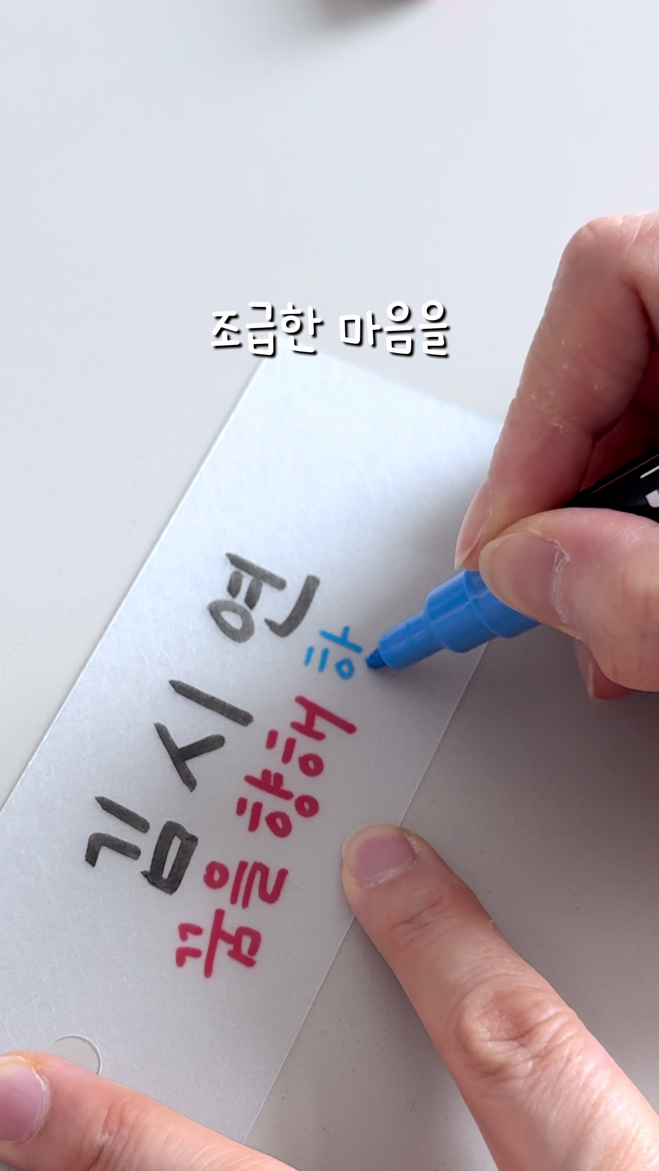 @이느낌 작가ㅣ이느낌 꽃과캘리