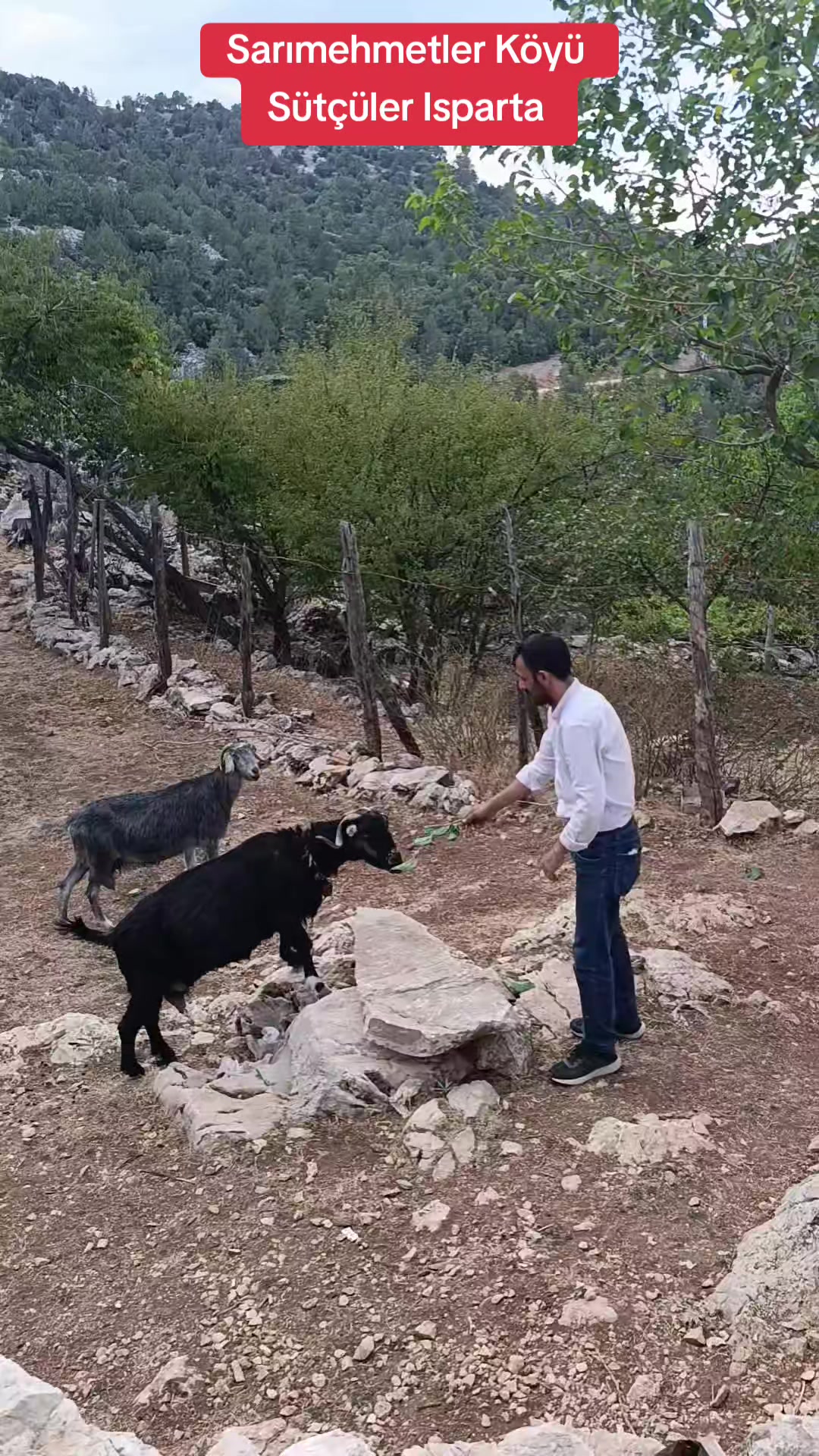 @G&uuml;m&uuml;l&uuml;Bilal