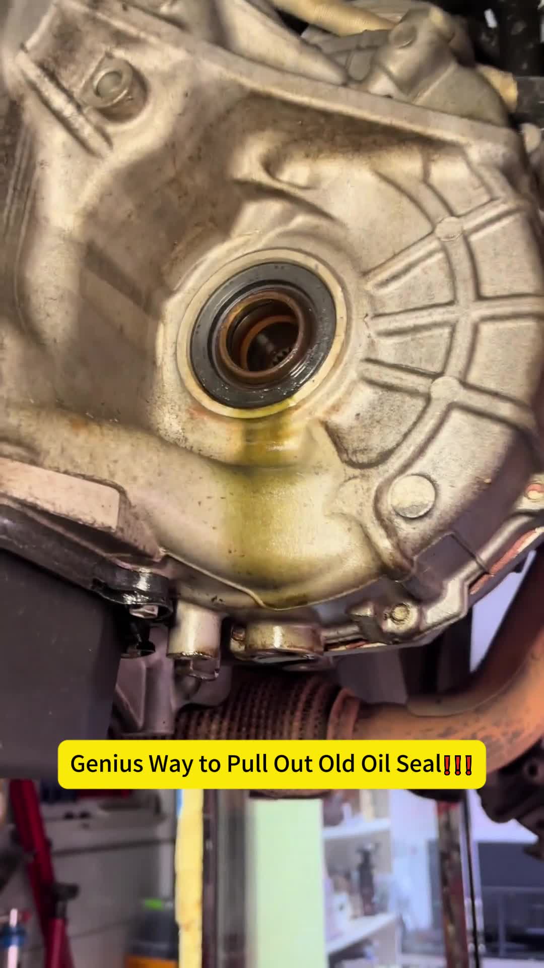 @auto parts