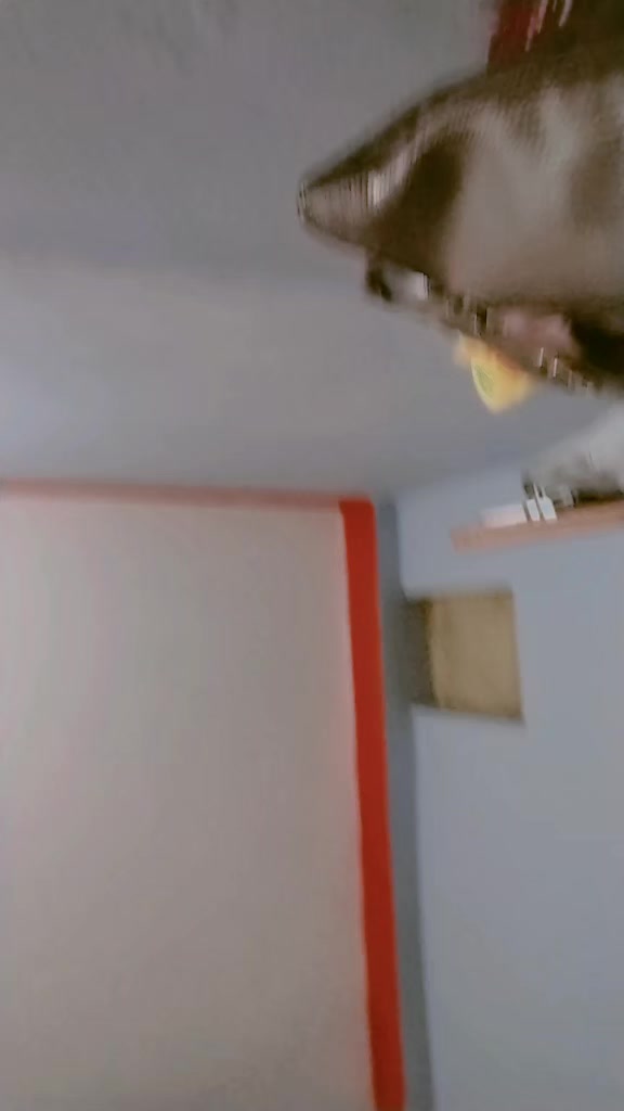 @kajalsarraf05