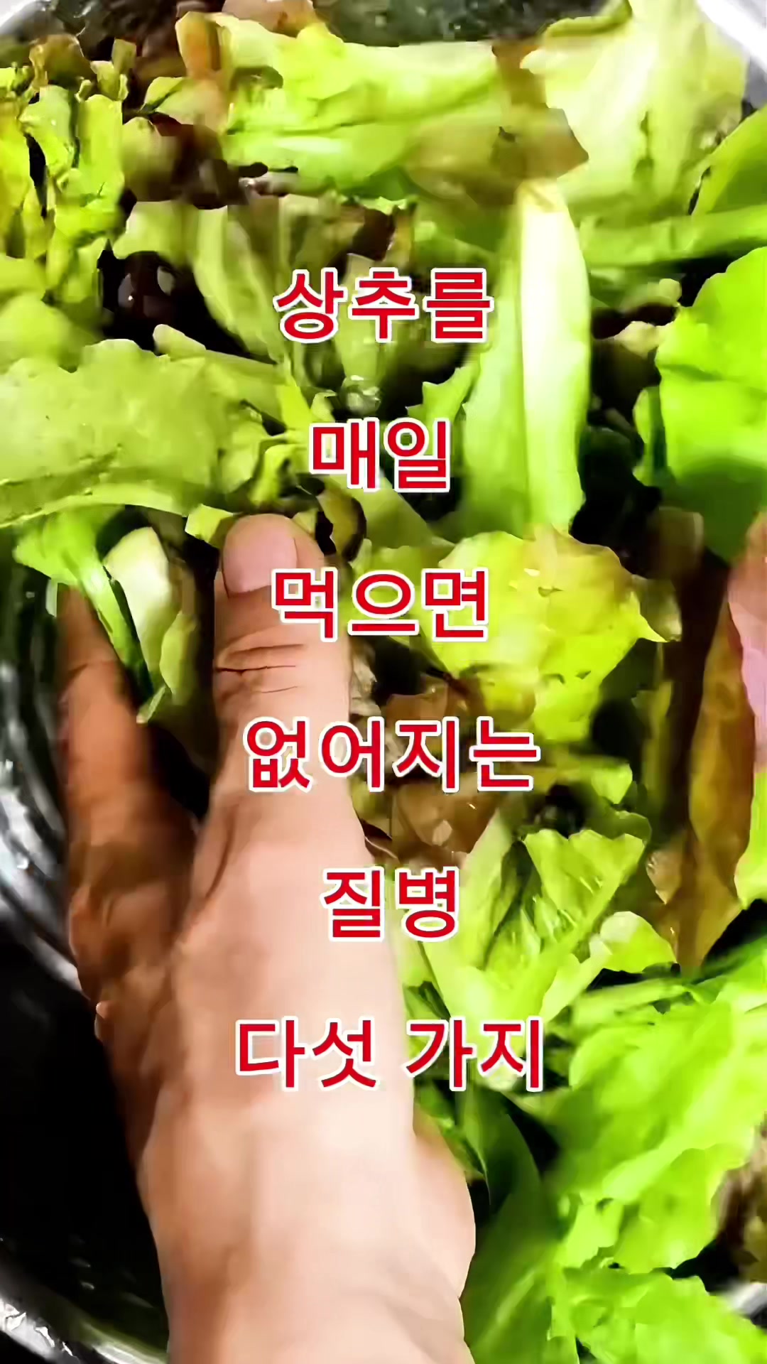@김 박사입니다