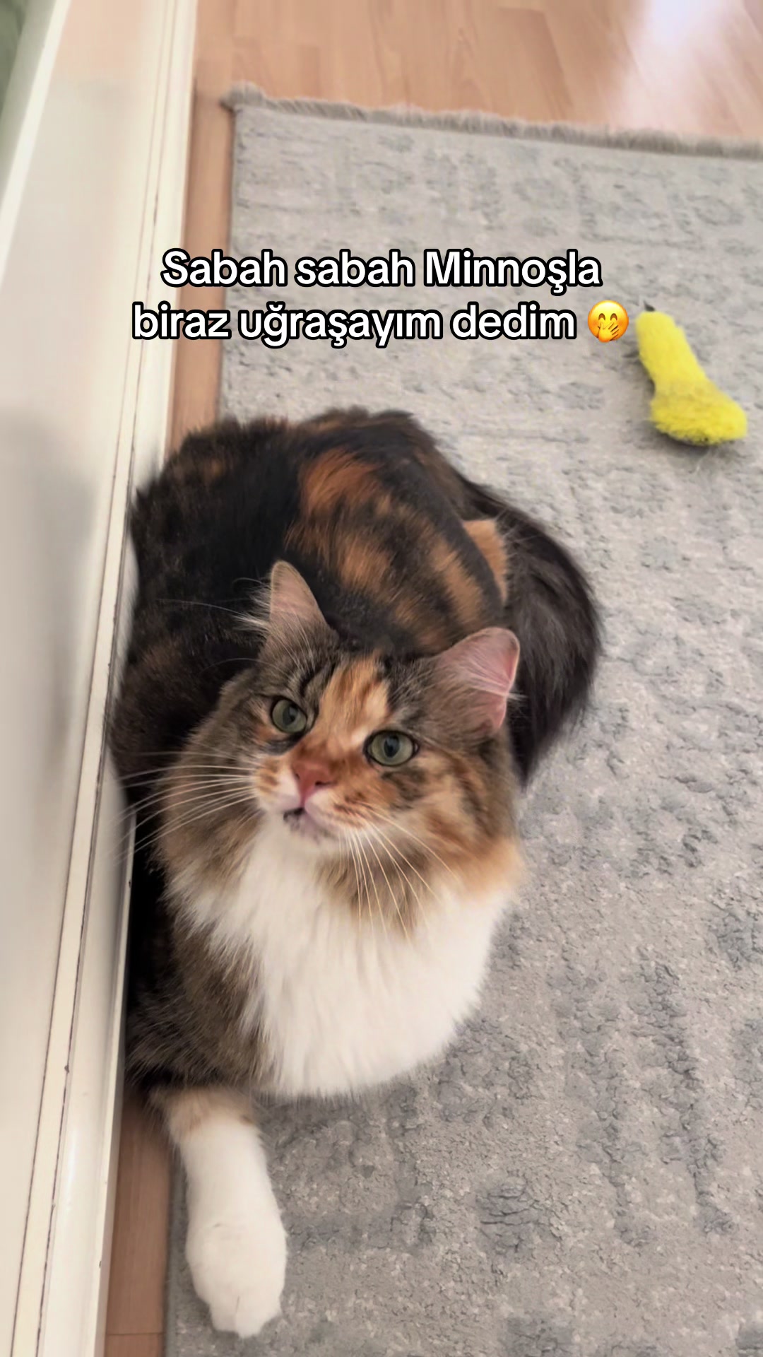 @konusankediminnos