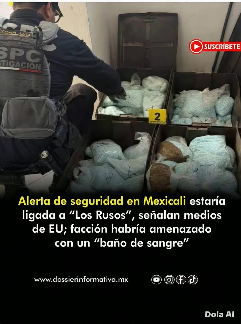 @dossierinformativo.mx