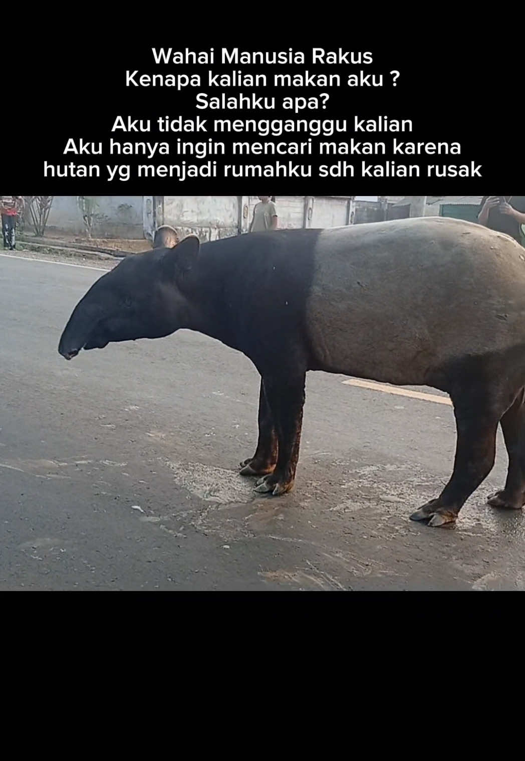 @Adi Syahreza