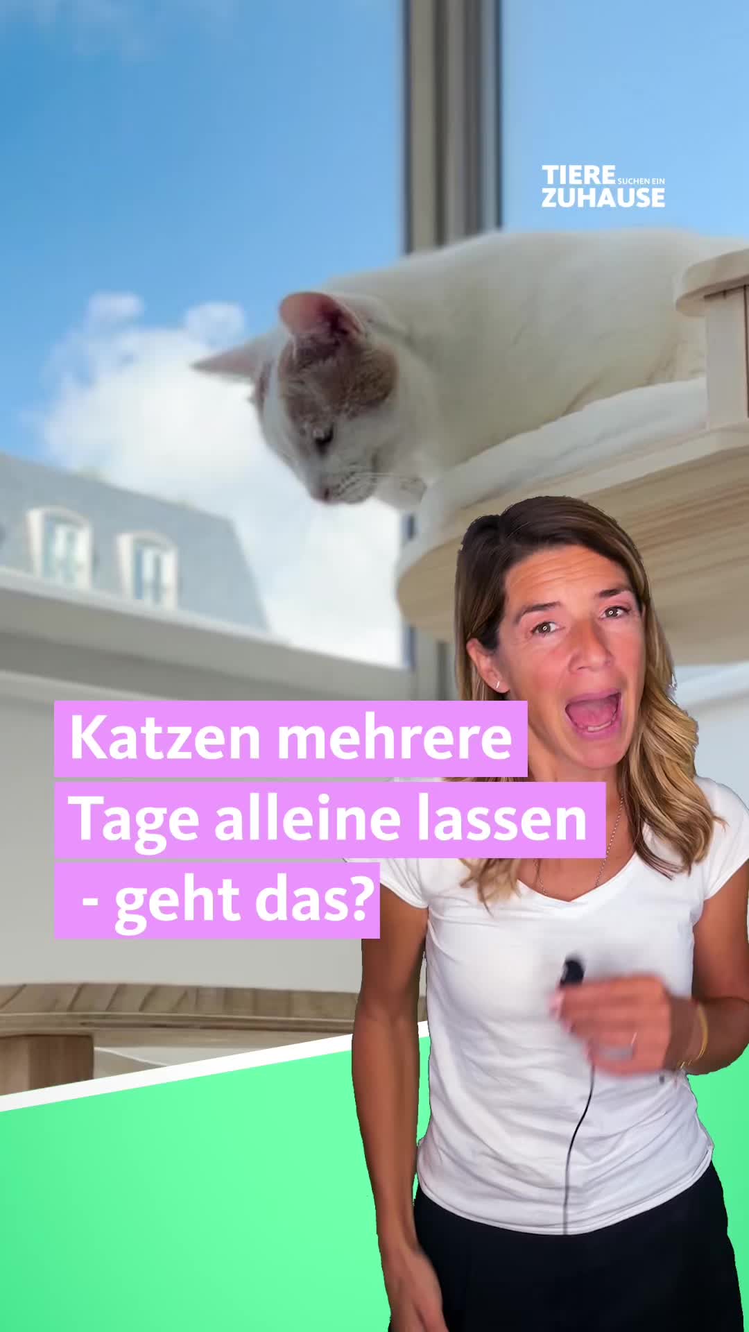 @Tiere suchen ein Zuhause