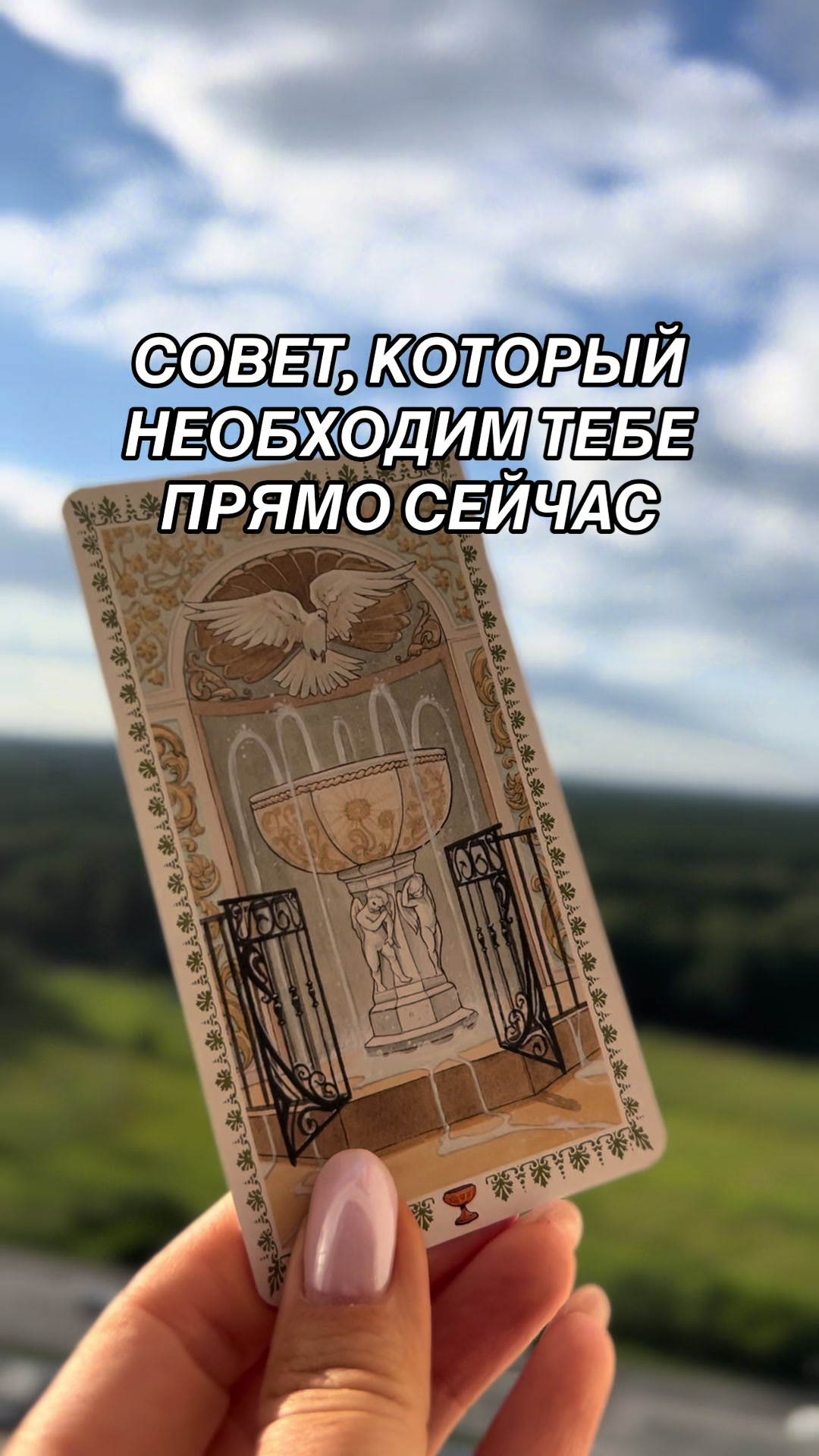 @tarolog__katrin_