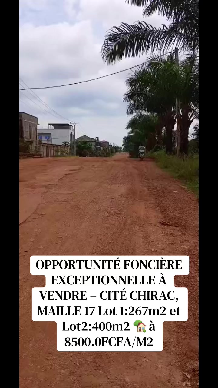 @DINO~IMMO~237🇨🇲🇨🇲