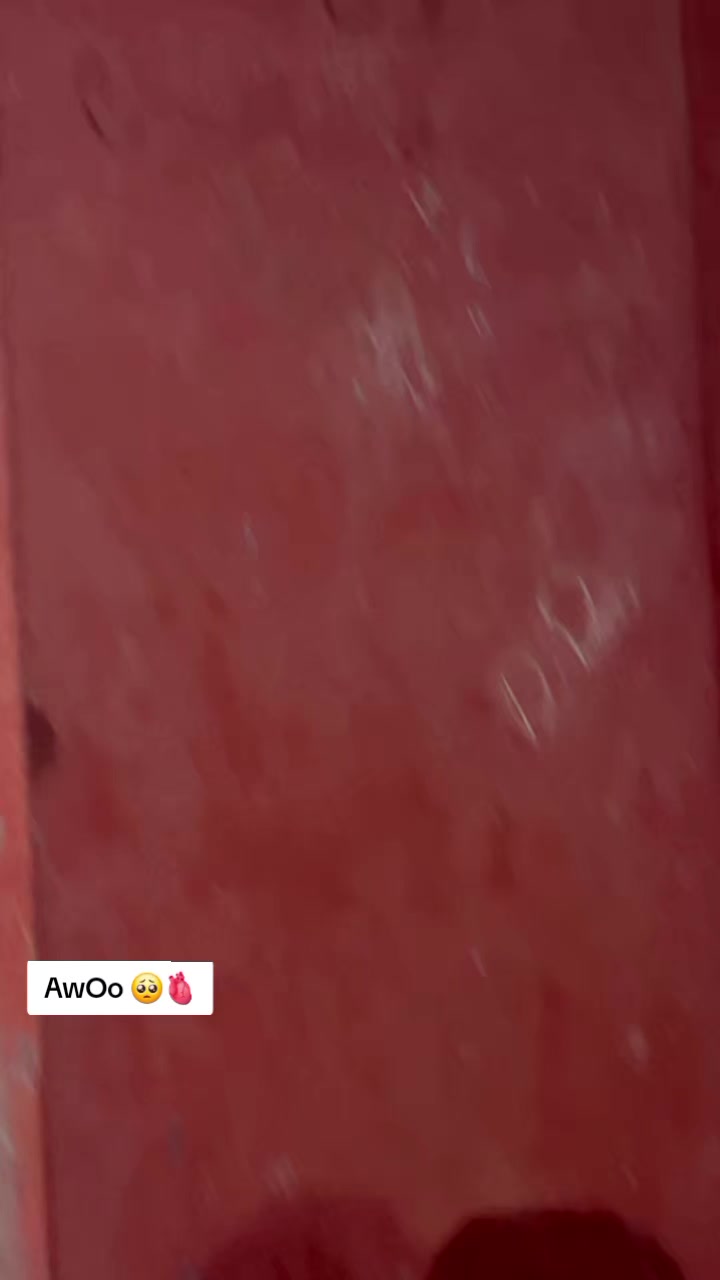 @亗 🇹🇷𝗔𝗸 𝗕𝗿𝗔𝗻𝗗🇹🇷¹⁰¹⚡
