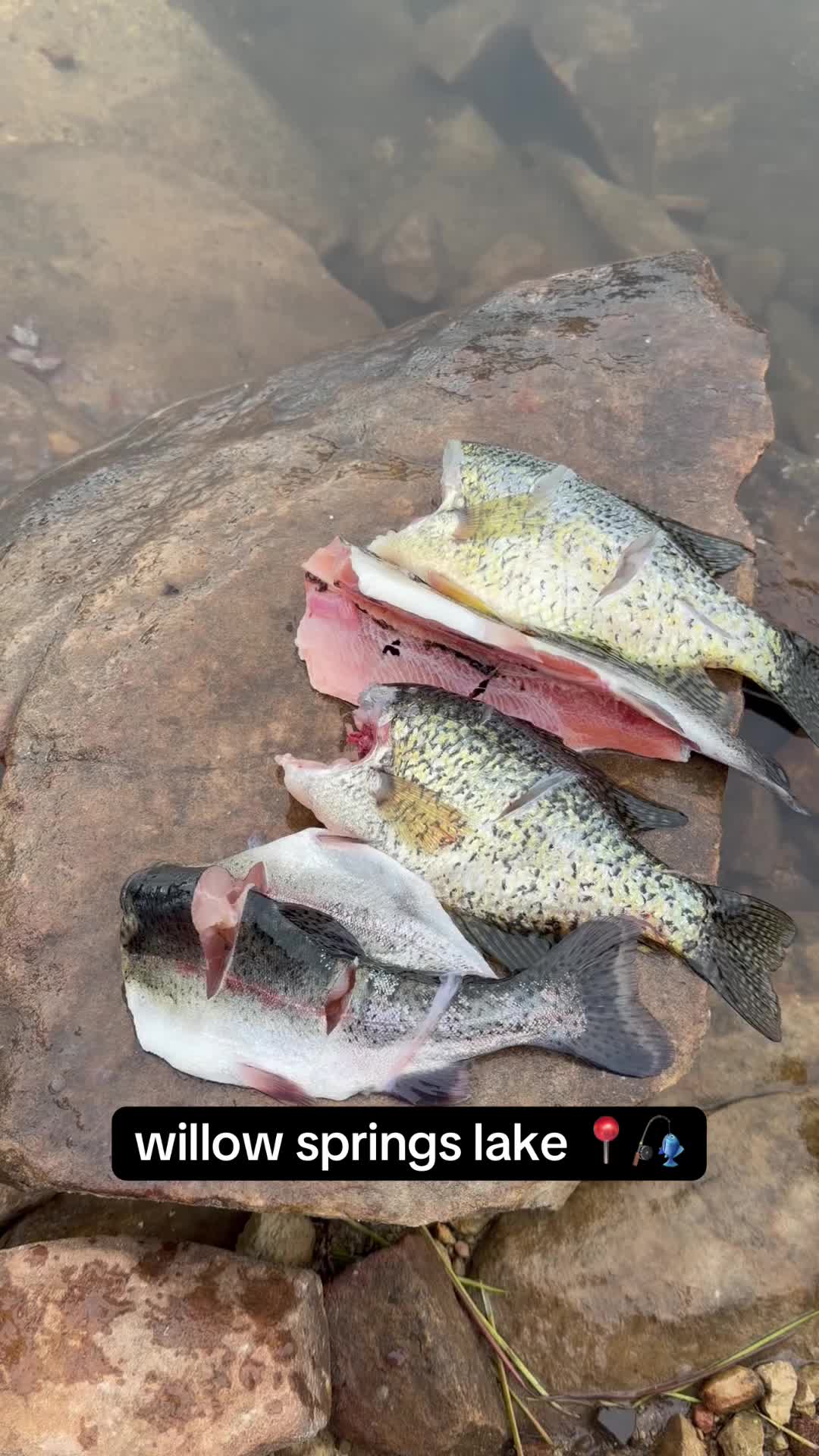 @David explore Arizona 🌲🎣
