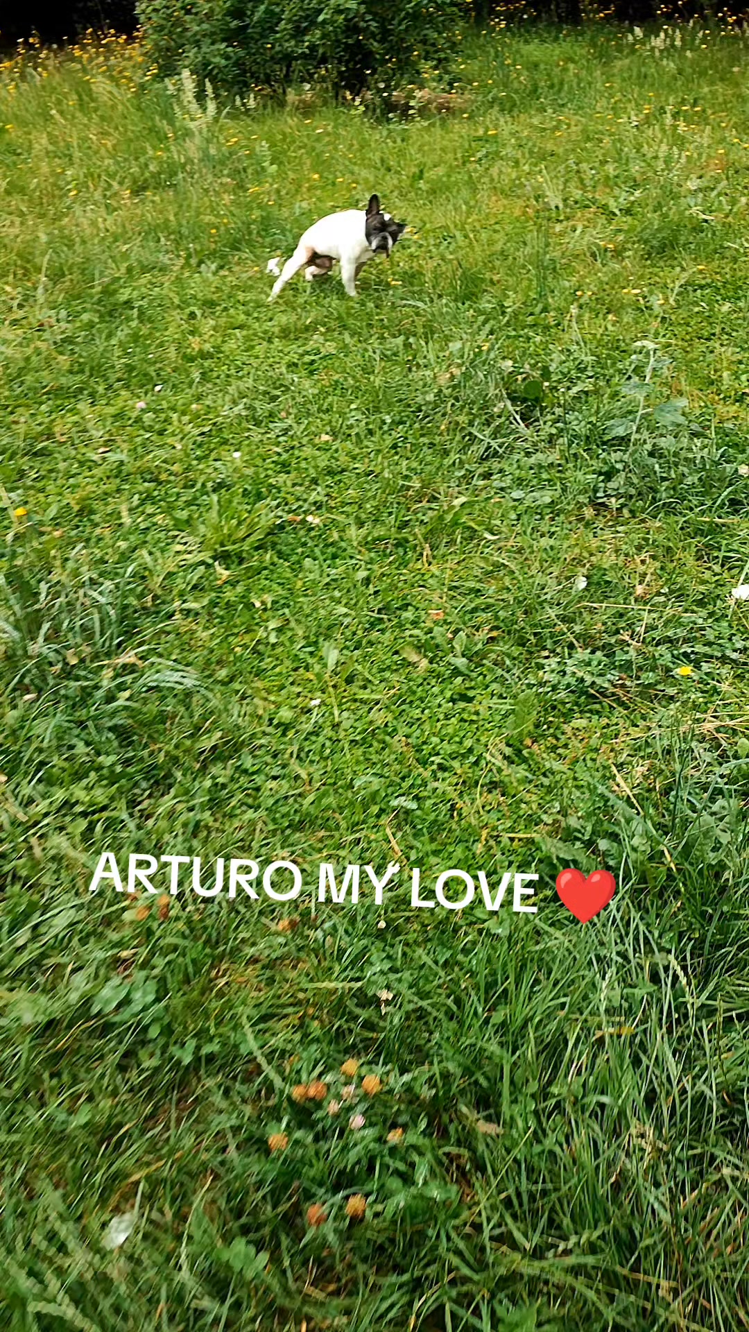 @Barbara Pisoni