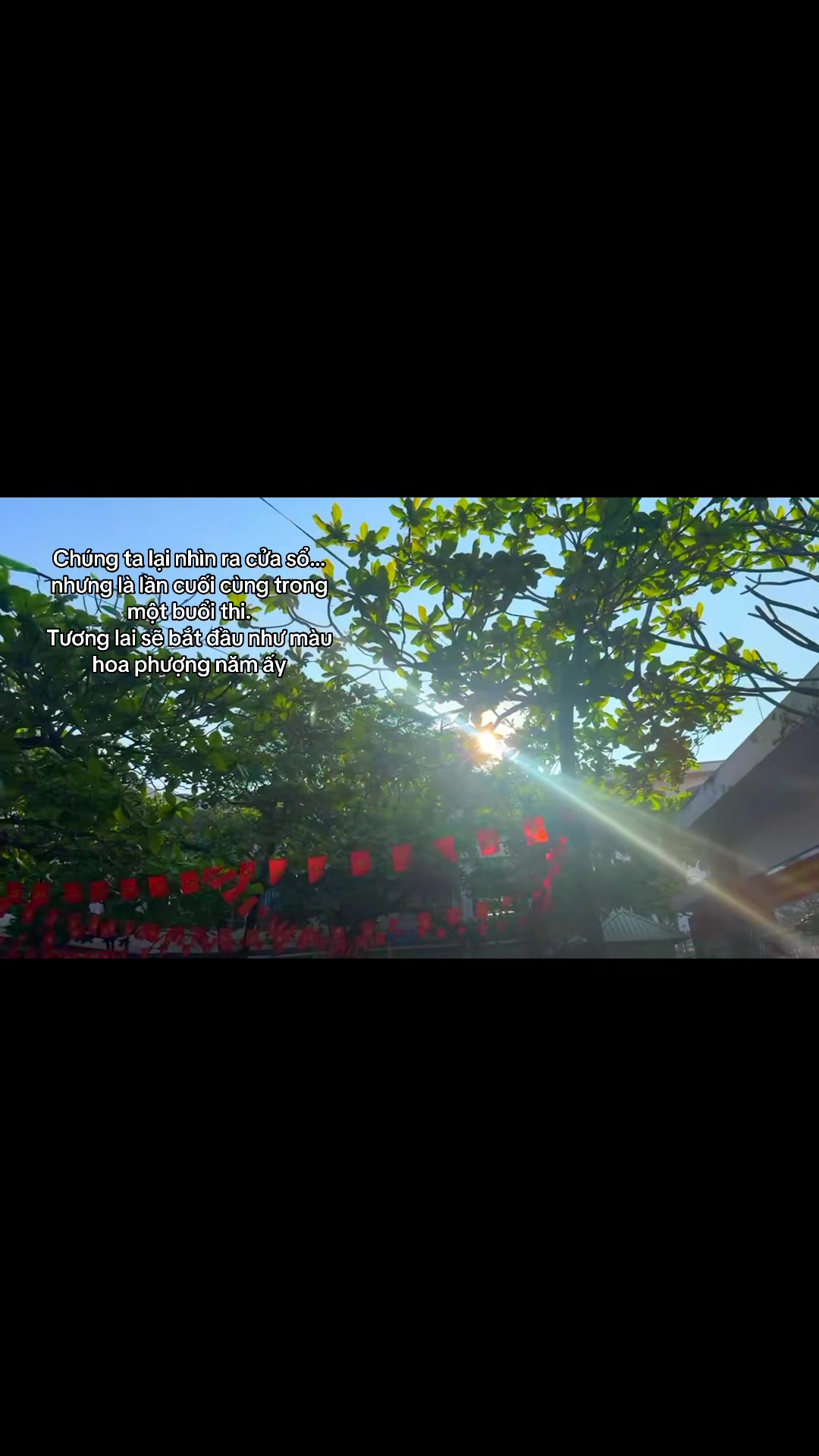@A7LTVQN_K22🔥