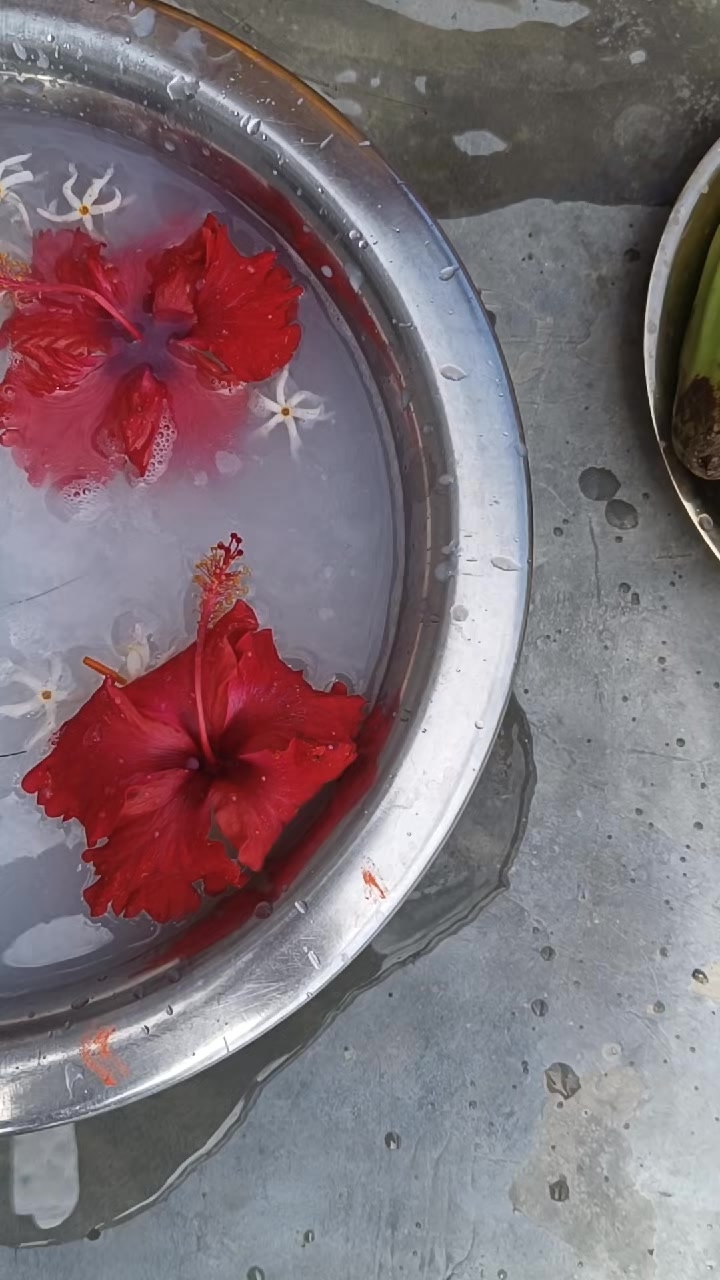 @raunakjaiswal316