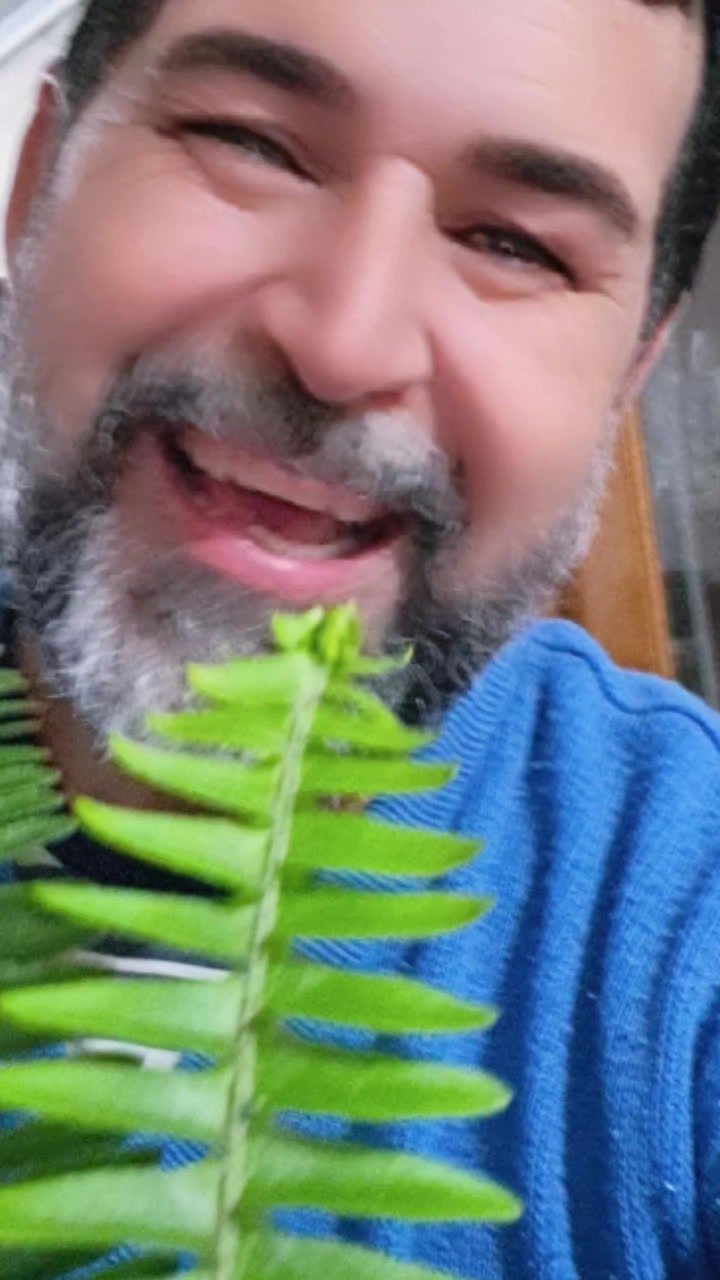 @Ademir Almeida