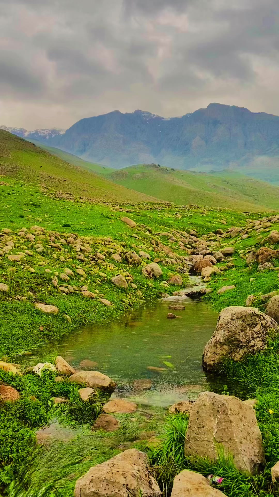 @﮼هەورامی🖤.