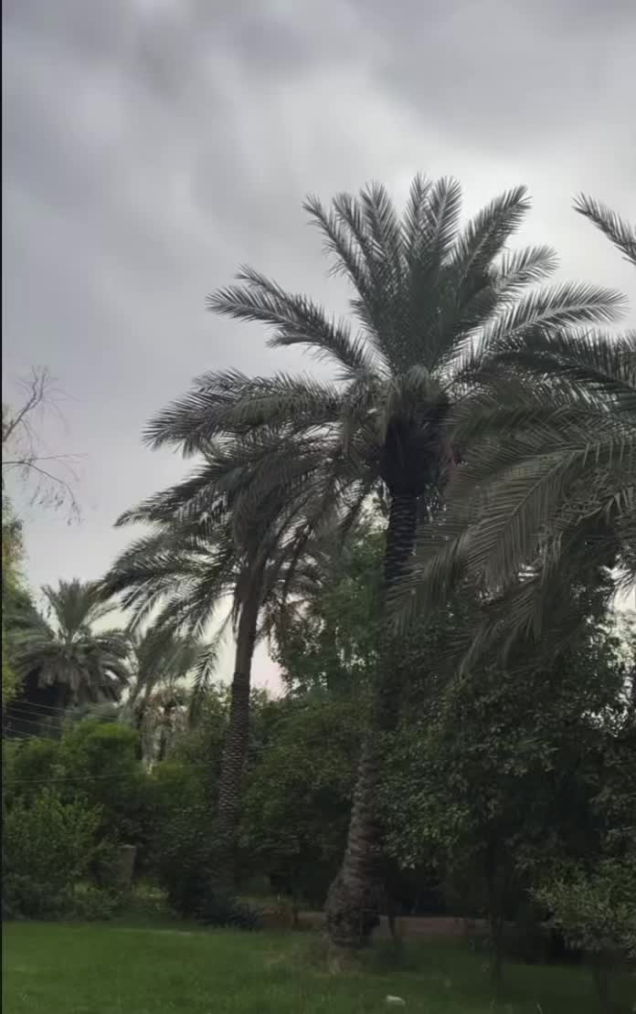 @ahmed.hameidi