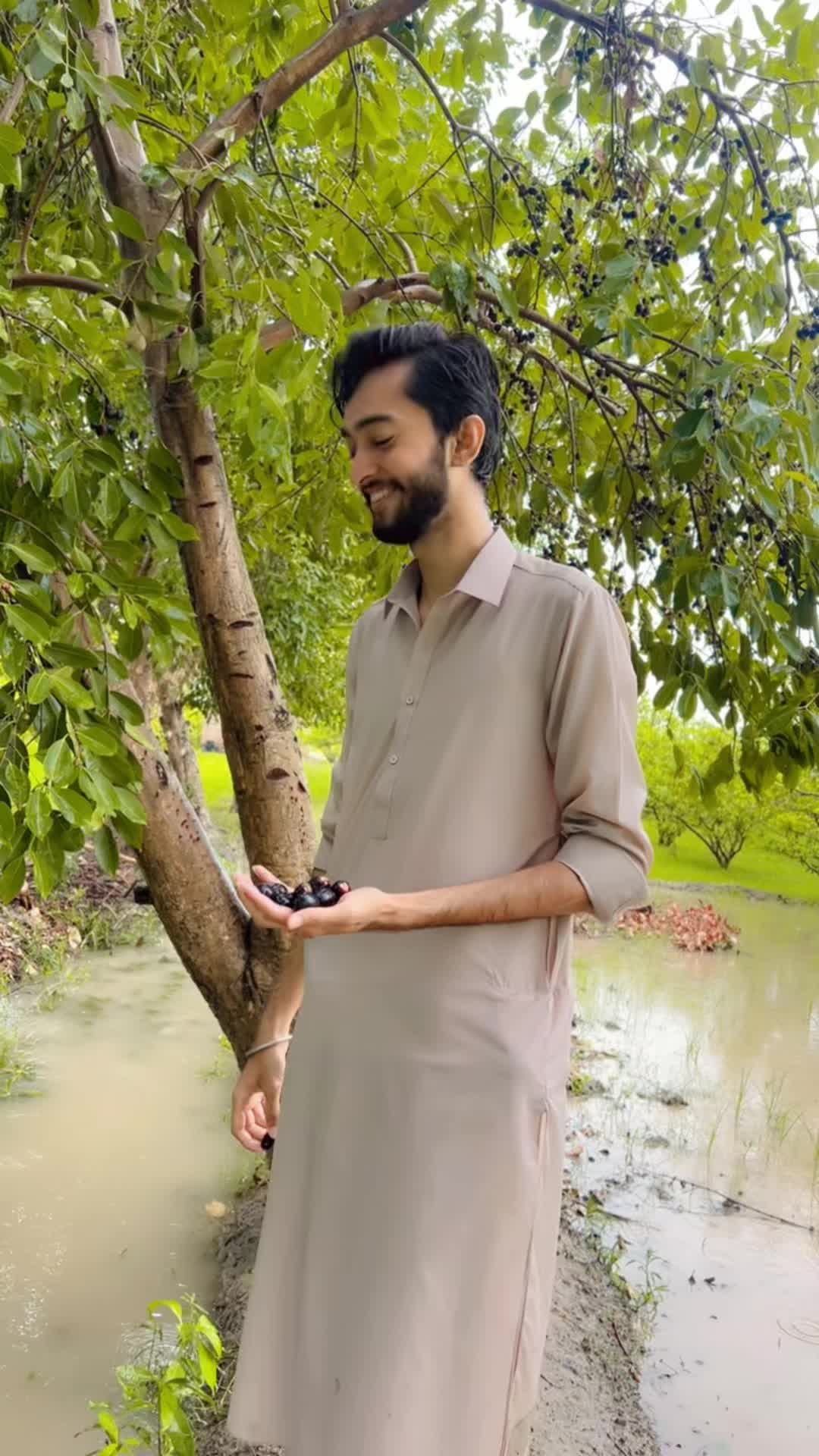 @سید قلبِ عباس شاہ شیرازی