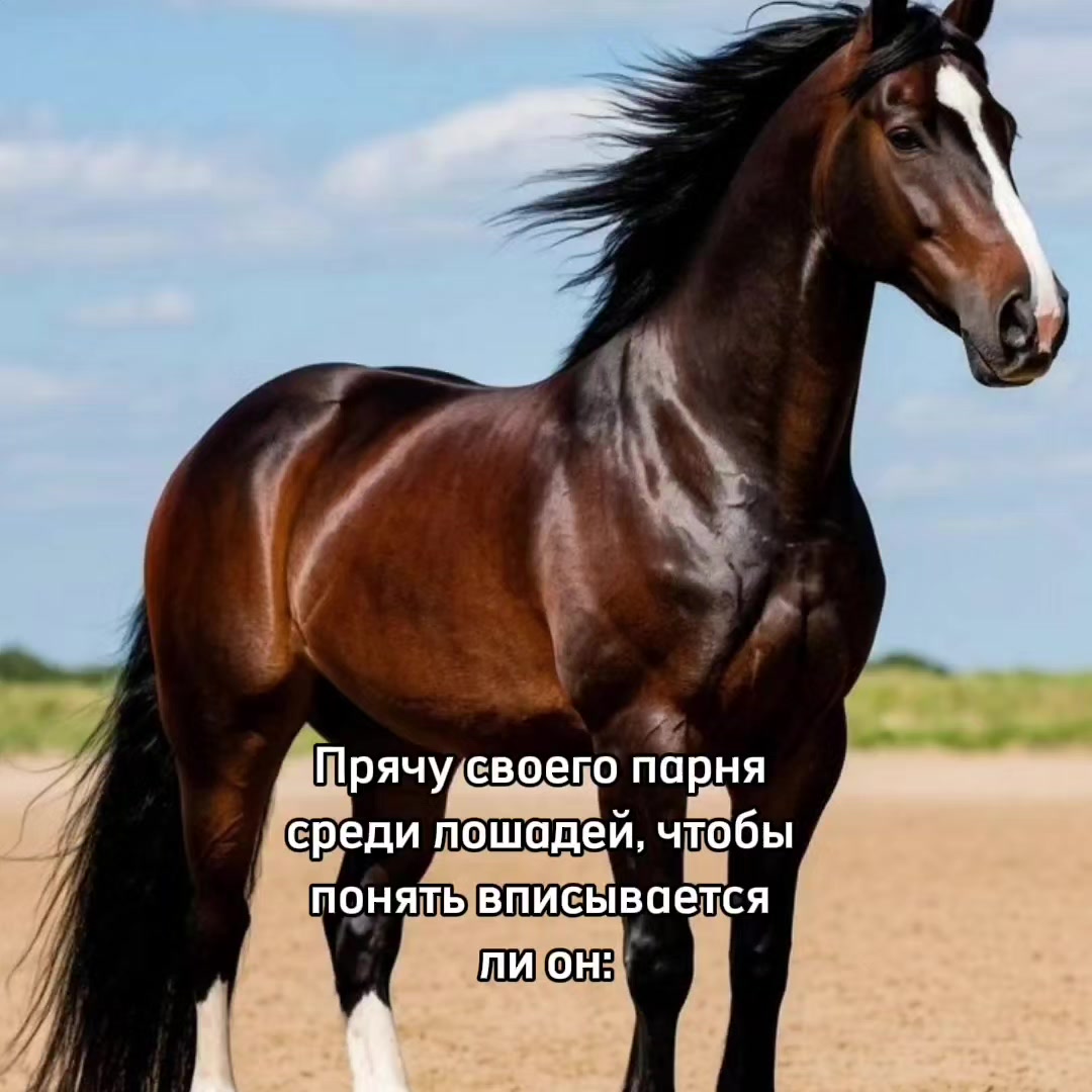 @𝘒𝘪𝘮𝘮𝘪
