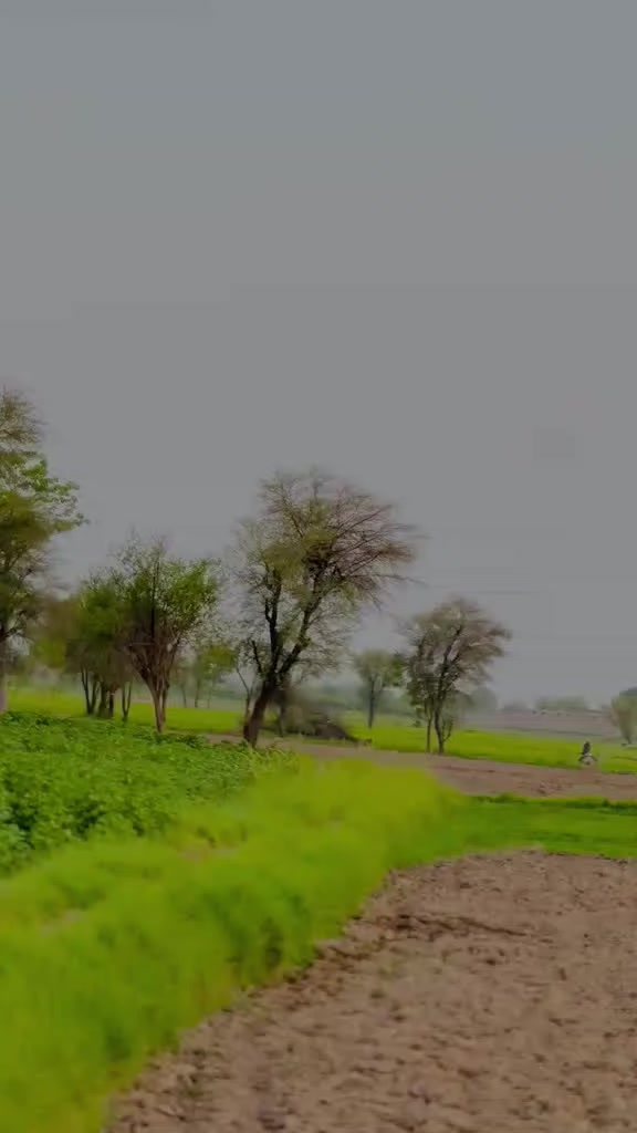 @@Azhar210:🦅