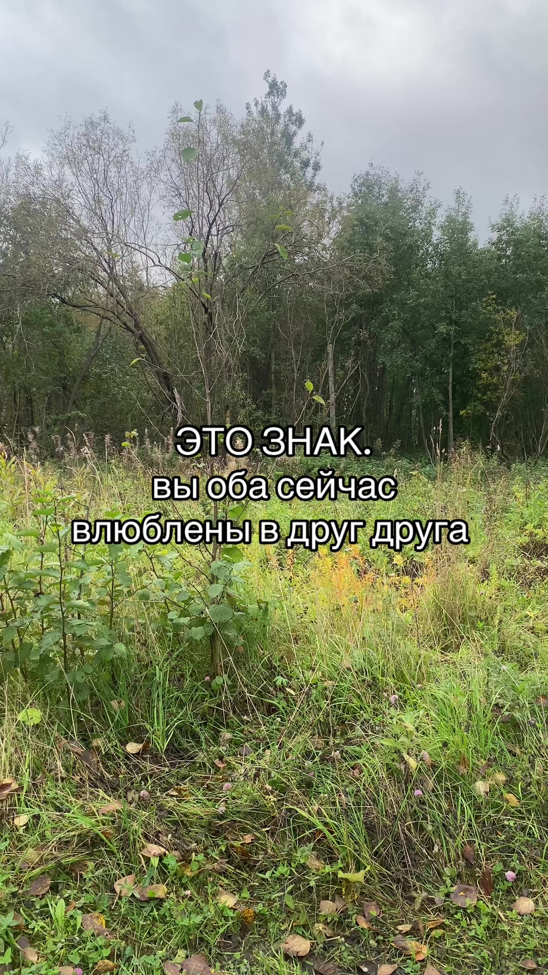 @Данил