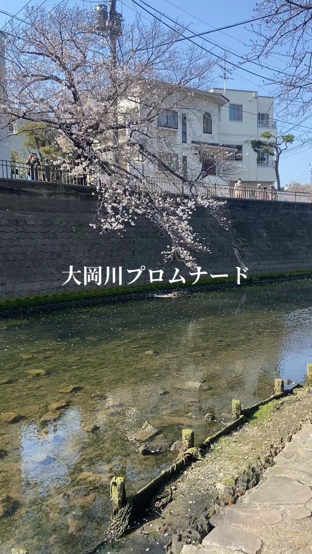 @あさこ