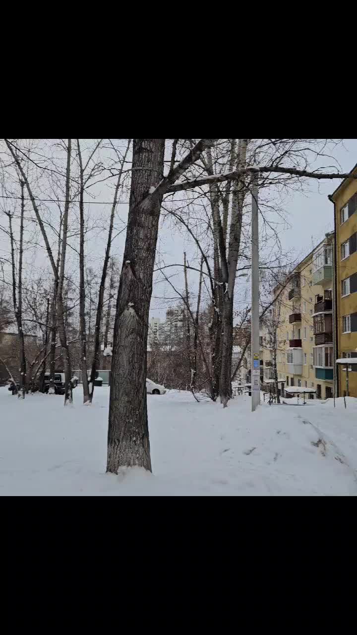 @Полина Свительская