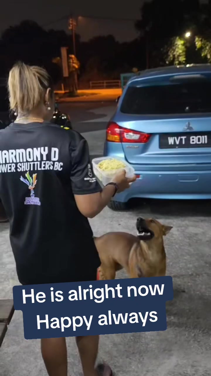 @Harmony Dewi
