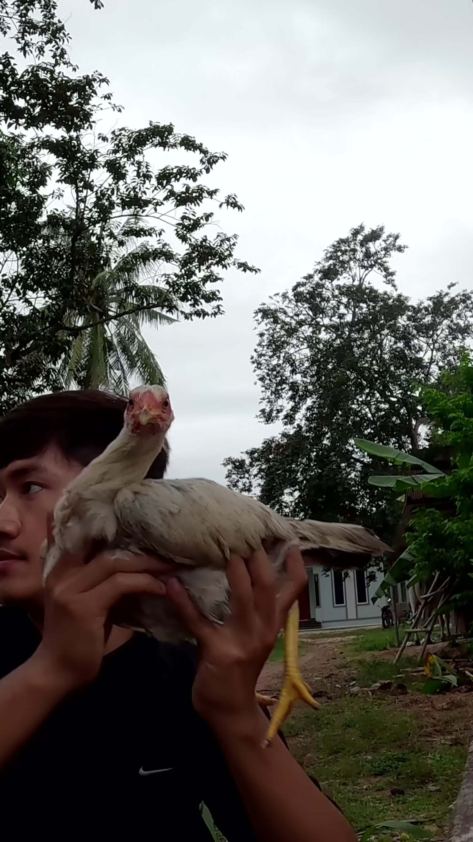 @KoryPhollin - កយផល្លីន