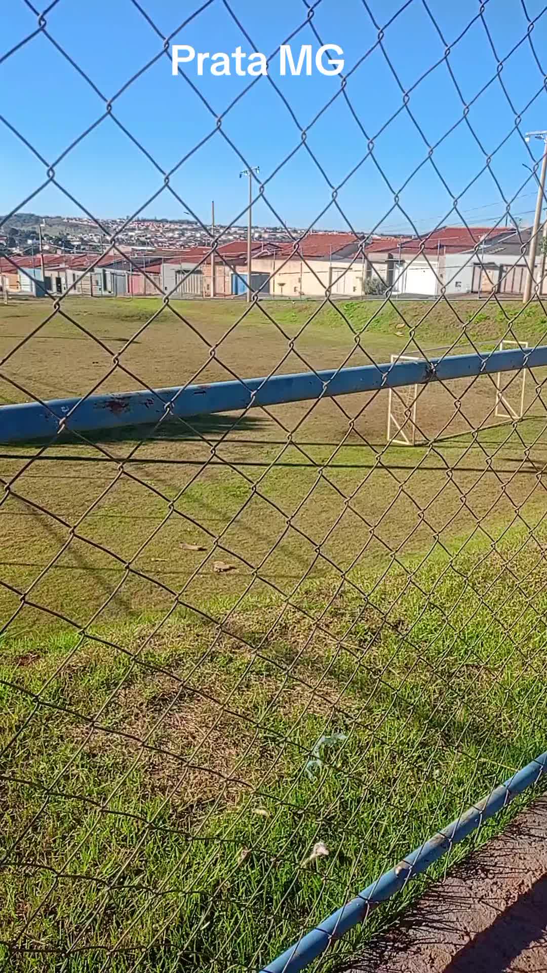 @Adriana Aparecida Si