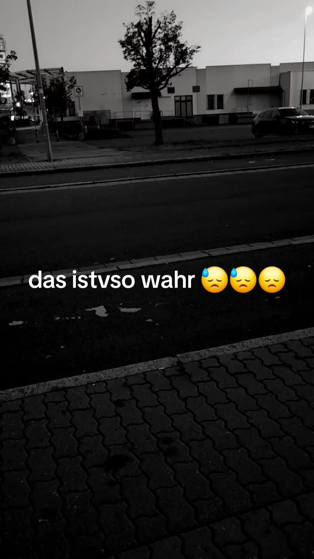 @fiebig4
