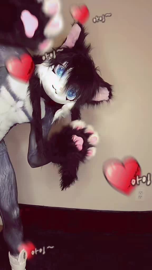 @Queer el gato🏳️🌈