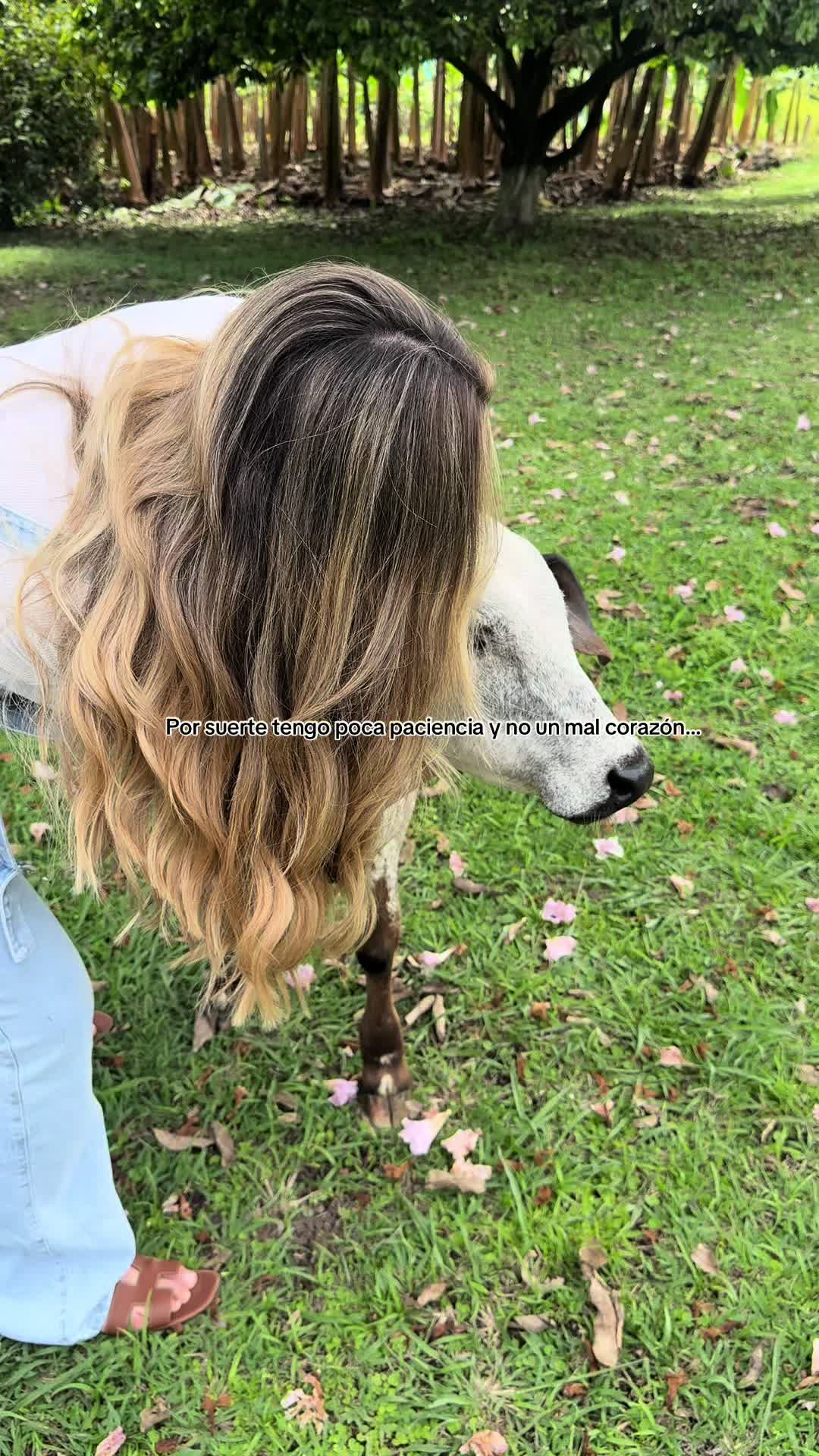 @Luana