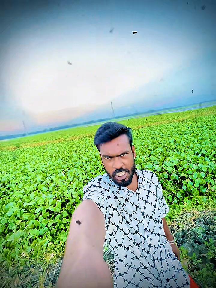 @banglavai4